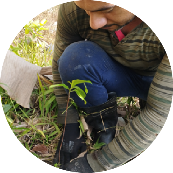 Agricultores